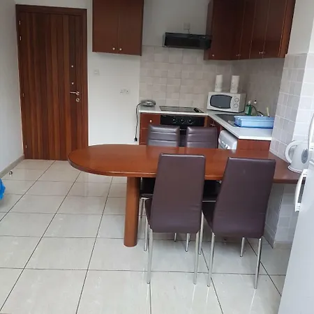 Apartment Bachelor With Private Yard *
